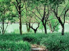 -西溪国家湿地公园