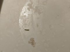 -聚盛源蒸汽海鲜火锅烤肉自助(巨川金海岸购物广场店)