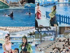 -海合安成都极地海洋公园