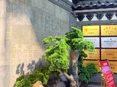 -文楼·淮扬菜·淮安早茶(河下古镇翔宇店)