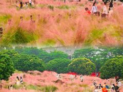 -红花山公园