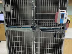 -中农大我爱我爱动物医院·核磁CT·猫病·24小时夜诊中心(石佛营店)
