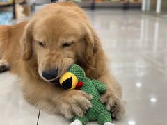 -佳雯宠物医院(四明中路分院)