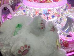 -天空之城·明日世界(南亚店)