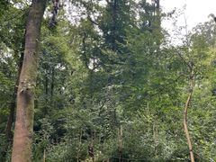 -WeLope紫金山探险公园