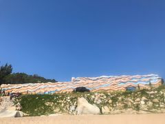 -广东惠东海龟国家级自然保护区