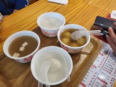 -海丝金凤(金鱼店)