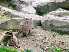 -上海野生动物园
