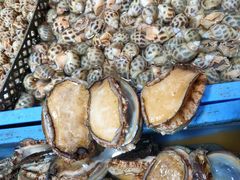 鲍鱼-都斛海鲜街