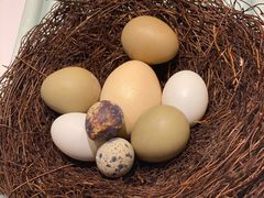 -冶春茶社(太和广场店)