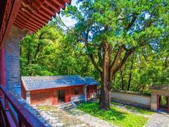 -北京上方山国家森林公园