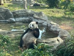 -武汉动物园