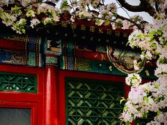 -海棠花溪(元大都城垣遗址公园)