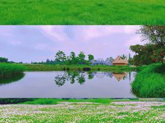 -良渚古城遗址公园