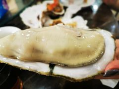 -蚝专家(北滘店)