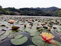 -广州市石门国家森林公园