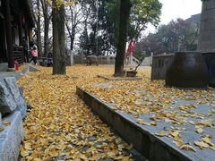 -雨花胜境
