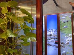 -阿西娅食府(中关村店)