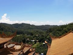 -东莞市大岭山森林公园