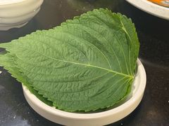 -本家·添百客韩国料理(泰然店)