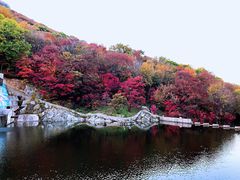 -龙道沟景区
