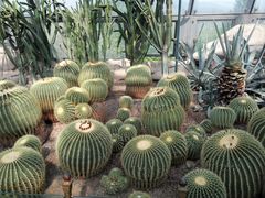 -北京植物园-展览温室