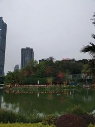 -金芙美月子中心(财富别墅店)