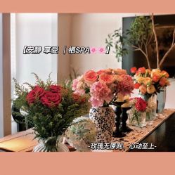 -栖SPA·ONDA ·海菲秀·皑皑科技美肤中心