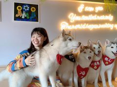 -Husky Go! 哈士奇体验馆·宠物咖啡厅狗咖