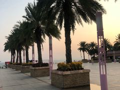 -玫瑰海岸文化旅游度假区