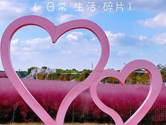 -嘉北郊野公园
