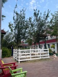 点击看大图 -爱儿美儿童摄影(五路居花园别墅店)
