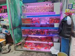 -西宁市人民公园(城西区)