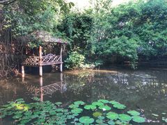 -Bamboo Saturday Market(Nana Jungle)