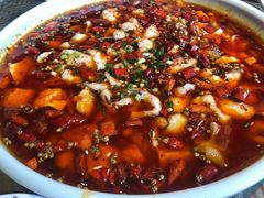 -新繁老號豌豆汤饭店·江湖菜(宝光寺店)