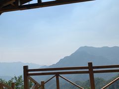 -大岭沟猕猴桃谷风景区