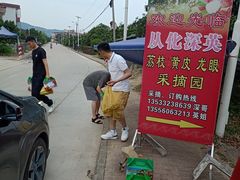 -从化深英荔枝黄皮龙眼采摘园