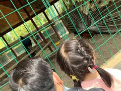 -嬉乐湾休闲旅游区