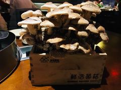 -捞神煲汤火锅(湖滨商业街店)