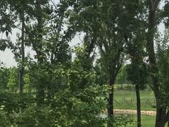 -北京鸿华高尔夫练习场