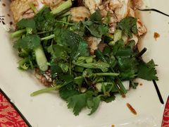 化州白切鸡-化州大众美食城(宝安老牌店)