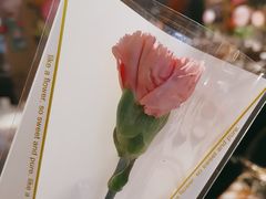 -胡桃里音乐酒馆(罗湖HALO广场店)