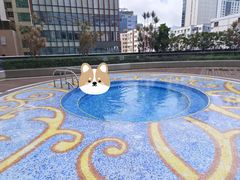 -香港尖沙咀凯悦酒店