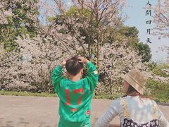 -南山植物园