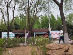 -丁香湖公园