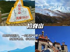 -青海藏文化博物院