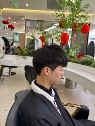 -BEAUTY HAIR GANO