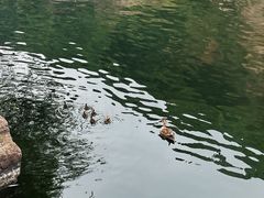 -绍兴东湖风景区