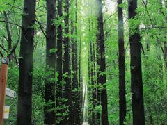 -同里国家湿地公园