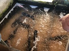 -姥家大锅台水库渔家